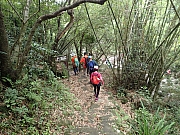 P4290038.JPG (762839 bytes)