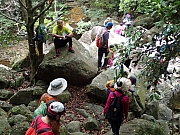 P4290040.JPG (494441 bytes)