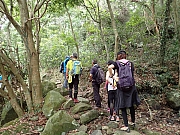 P4290060.JPG (652376 bytes)