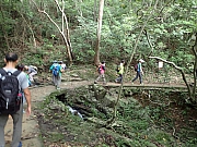 P8050003.JPG (565097 bytes)