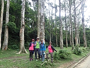 P8050008.JPG (690953 bytes)