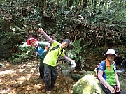 P8050047.JPG (493935 bytes)