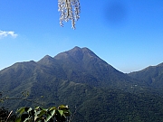 PC020033.JPG (267682 bytes)