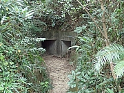 PC090010.JPG (677219 bytes)