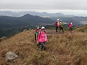 P1060045.JPG (529156 bytes)