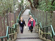 P2240004.JPG (548910 bytes)
