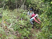 P4140022.JPG (665939 bytes)