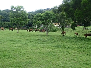 P6300090.JPG (589819 bytes)