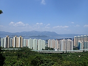 PA200051.JPG (374063 bytes)