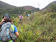 pic_Wai_036.jpg (536333 bytes)