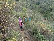 pic_Wai_058.jpg (723467 bytes)