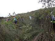 pic_Wai_059.jpg (668274 bytes)