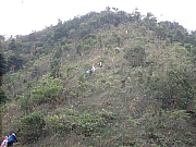 pic_Wai_102.jpg (567092 bytes)