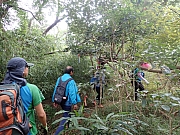 pic_Wai_104.jpg (644326 bytes)