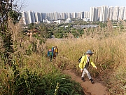 pic_Wai_037.jpg (732461 bytes)