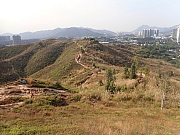 pic_Wai_042.jpg (520672 bytes)