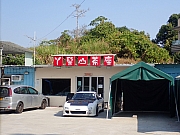 pic_Wai_155.jpg (403578 bytes)