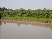 pic_Wai_163.jpg (321052 bytes)