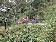 pic_Wai_046.jpg (916263 bytes)