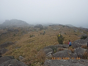 pic_Wai_099.jpg (324674 bytes)