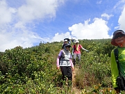 pic_Wai_022.jpg (447962 bytes)
