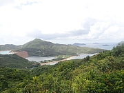 pic_Wai_037.jpg (315307 bytes)