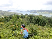 pic_Wai_039.jpg (476193 bytes)