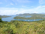 pic_Wai_056.jpg (453225 bytes)