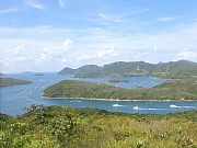 pic_Wai_057.jpg (344558 bytes)