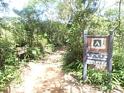 pic_Wai_058.jpg (703673 bytes)