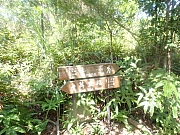 pic_Wai_059.jpg (672735 bytes)