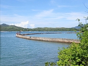 pic_Wai_060.jpg (368312 bytes)