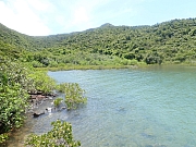 pic_Wai_064.jpg (543528 bytes)