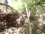 pic_Wai_077.jpg (572893 bytes)