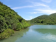 pic_Wai_095.jpg (442559 bytes)
