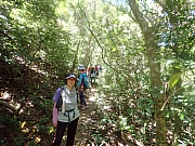 pic_Wai_098.jpg (617786 bytes)