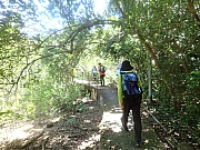 pic_Wai_100.jpg (660770 bytes)