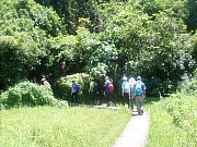 pic_Wai_102.jpg (716357 bytes)