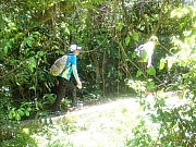pic_Wai_103.jpg (531755 bytes)