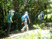 pic_Wai_104.jpg (509185 bytes)