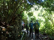 pic_Wai_105.jpg (566486 bytes)