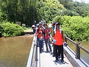 pic_Wai_109.jpg (577694 bytes)