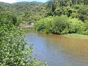 pic_Wai_110.jpg (687429 bytes)
