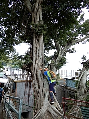 PB080038.JPG (672505 bytes)
