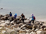 PB080075.JPG (516141 bytes)