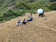 PB080167.JPG (863713 bytes)