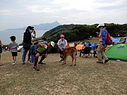 PB080178.JPG (483828 bytes)