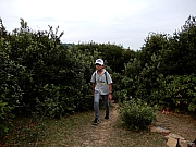 PB080217.JPG (484811 bytes)