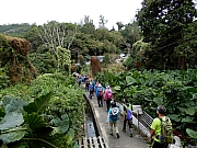 PB150022.JPG (636390 bytes)