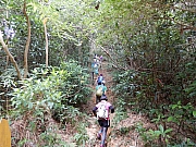PB150023.JPG (766982 bytes)